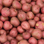 आलु महँगियो, यस्तो छ कालीमाटीमा तरकारी भाउ